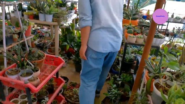 A garden Tour of my Friend смотреть онлайн