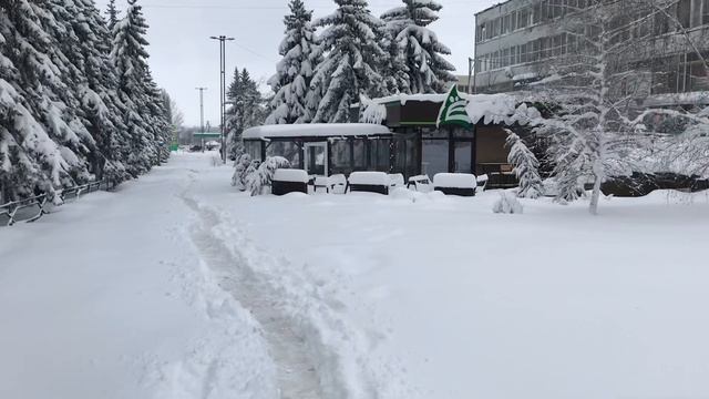 Луганская обл город Антрацит 31 марта смотреть онлайн