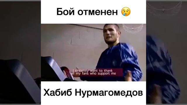 Бой ХАБИБА НУРМАГОМЕДОВА ОТМЕНЁН смотреть онлайн