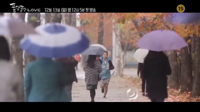 Брызги любви  Splash Splash Love 2015 1