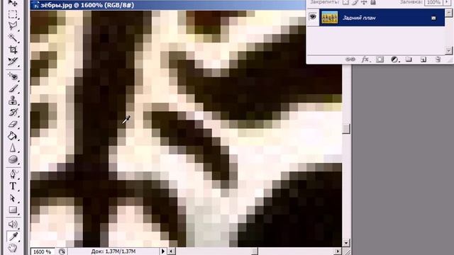 растровая и векторная графика смотреть онлайн