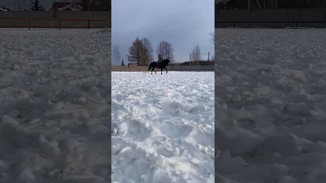 Начали работу после долгого перерыва ? смотреть онлайн