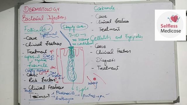 DERMATOLOGY MEDICINE Lecture 2 Furuncles, Carbuncles, Folliculitis With Concept