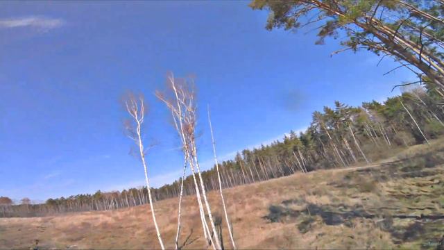 Сосны. Локация Раздоры. FPV Drone Freestyle смотреть онлайн