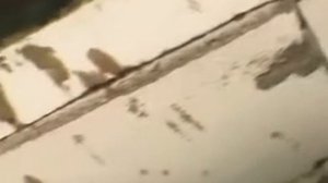 Андрей Курышев: Правда о газосиликате