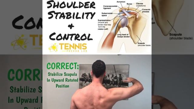 Shoulder And Scapular Control And Stability Exercise