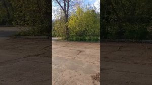 У Натальи канал Людей Держат за Скот Взломали Технику ! Горит Жопа у Предателей !