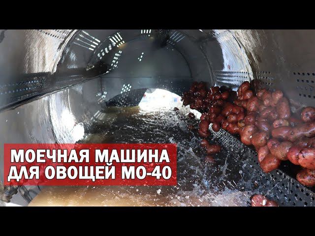Моечная машина для овощей (картофеля, свеклы, моркови) смотреть онлайн