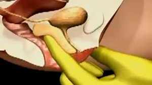 Как найти точку G