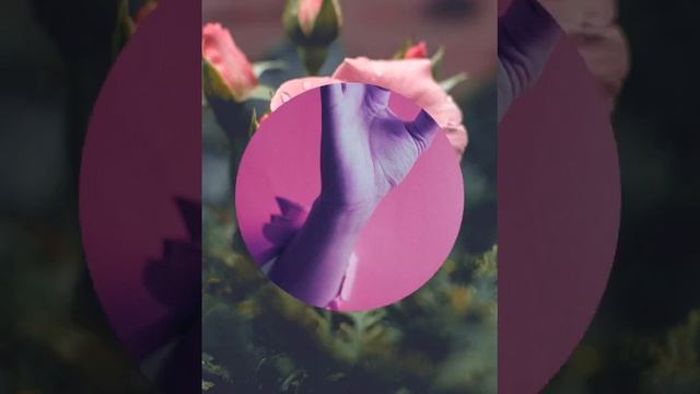 обои на телефон для девочек смотреть онлайн