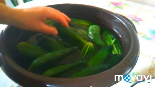 Соленые огурцы из огуречного рассола ,засолки на зиму/// смотреть онлайн