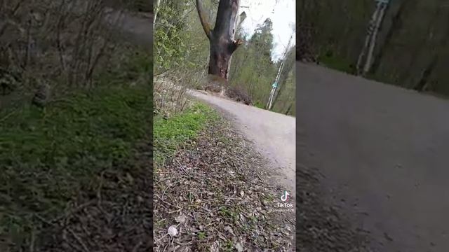 Как исправить баг игры Real Life смотреть онлайн