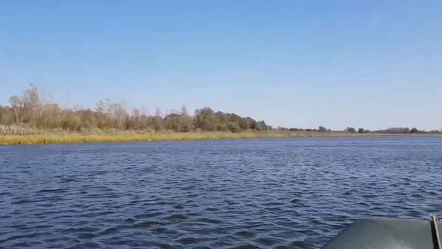 В Наровле 07.10.18 г. смотреть онлайн