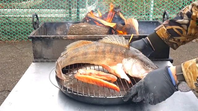 СУДАК КОПЧЕНЫЙ НА ДРОВЯНОЙ СКОВОРОДЕ СЮФ РЕЦЕПТЫ ПРИГОТОВЛЕНИЯ РЫБЫ РЫБАЛКА НА КУБАНИ смотреть онлайн