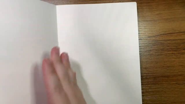 Sterling Ink Vision Boards | Passport | Standard TN | A5 | 2024 смотреть онлайн