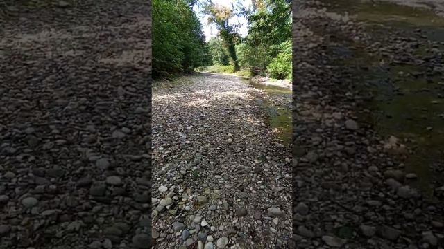 Река Мысра, около пансионата "Мюссера", Абхазия смотреть онлайн