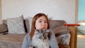 ЖИЗНЬ С МЕЙН-КУНАМИ/ МИНУСЫ ПОРОДЫ / БОЛЬШЕ НЕ ЗАВЕДУ МЕЙН-КУНА