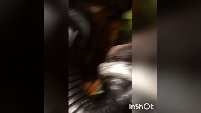 Не тянет турбина на 313 мерседес спринтер часть 2 смотреть онлайн