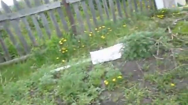 ДАЧА ПОСЛЕ ЗИМНЕГО ПОСЕСЩЕНИЯ НЕПРОШЕННЫХ ГОСТЕЙ смотреть онлайн