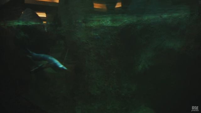 МОСКВА - ЗООПАРК | Sony A7III | Tamron 28-75mm f/2.8 | 4K | SLOG2 | смотреть онлайн