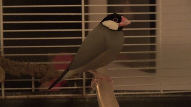 Good night смотреть онлайн