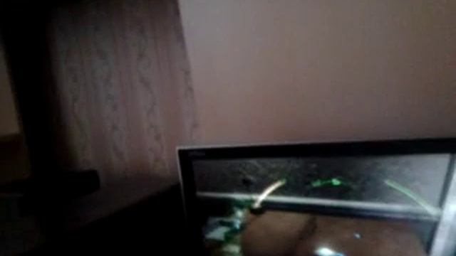 Deus ex 1 часть смотреть онлайн