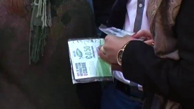 Stevia Sampling Campaign смотреть онлайн