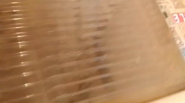 Инкубация перепелов от а до я