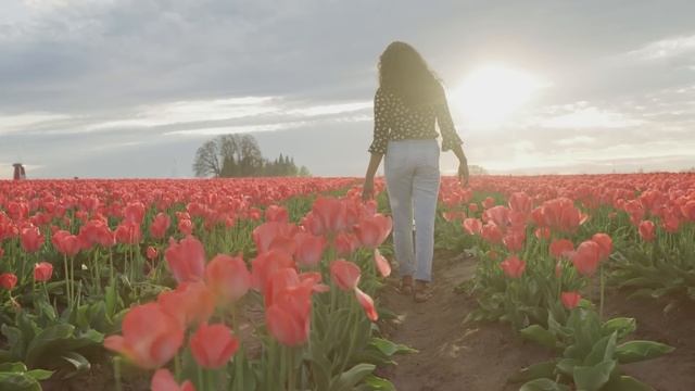 10 Minute Guided Meditation For Positive Energy, Peace & Light ?