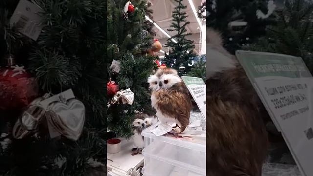 Парад новогодних елок/ Леруа Мерлен. Маленькой елочке холодно зимой смотреть онлайн