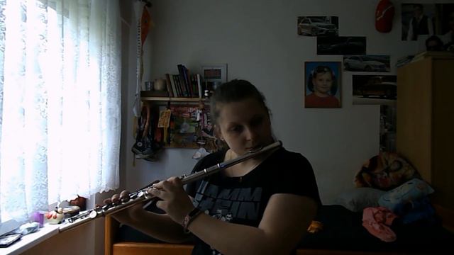 Ohne Dich Flute cover смотреть онлайн