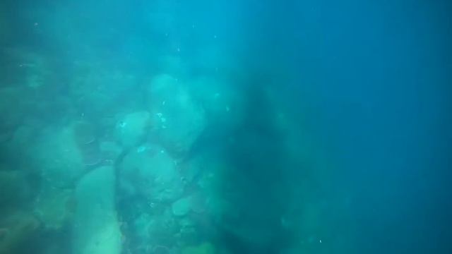 Manta Tow Survey смотреть онлайн