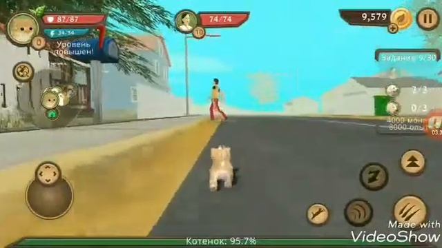 Cat Sim прохождение #1