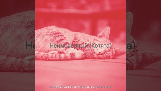Атмосфера (Отдыхающие кошки)