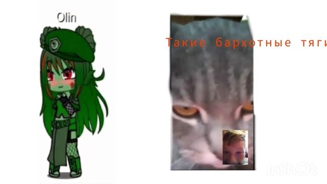 симба против Олин (Olin перс @monstertanksxboxps1575 ) симба моя кошка смотреть онлайн