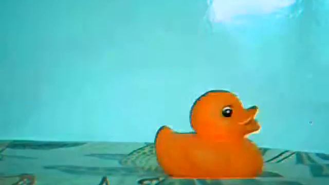 Duck-venture смотреть онлайн