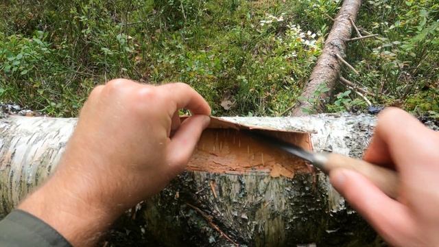 Solo Survival Under a Rock With No Food or Water - A-frame Bushcraft Shelter, Natural Water Filter смотреть онлайн