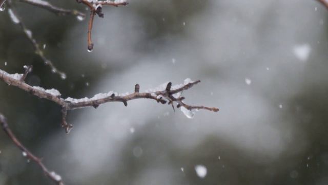 Dan Gibson’s Solitudes - O Come All Ye Faithful | Christmas in the Country смотреть онлайн