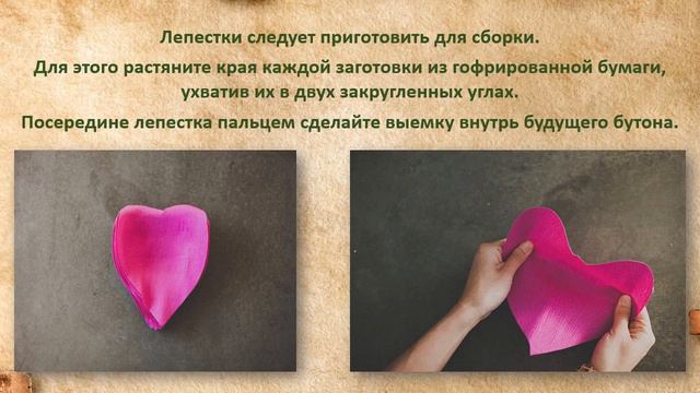 Мастер-класс "Роза из гофрированной бумаги" смотреть онлайн