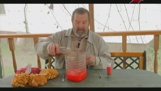 Обработка лука перед посадкой смотреть онлайн