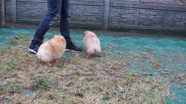 две девочки 2 смотреть онлайн