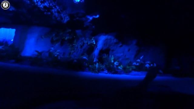 Едем отдыхать в аквапарк Rulantica Германия #3 смотреть онлайн