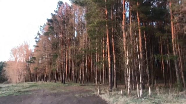 Поездка в Лукоянов Нижегородской области 30.04.2019-03.05.2019 смотреть онлайн