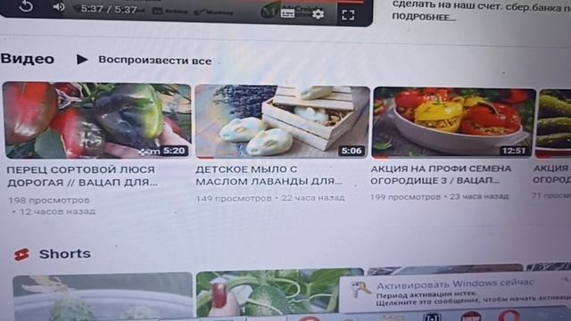 КАТАЛОГИ И ИНФОРМАЦИЯ МОИМ КЛИЕНТАМ //ВАЦАП 8-915-245-81-59 ТОЛЬКО ПИСЬМЕННО!!! смотреть онлайн