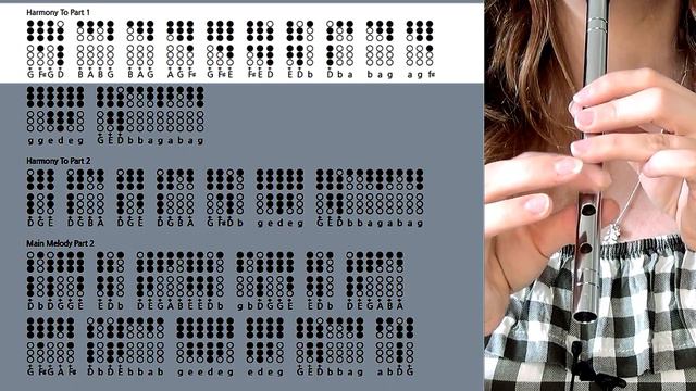 MAIDS OF SELMA - Tin Whistle Tabs Tutorial - IRISH TRAD JIG with Luke Webb Harpist смотреть онлайн