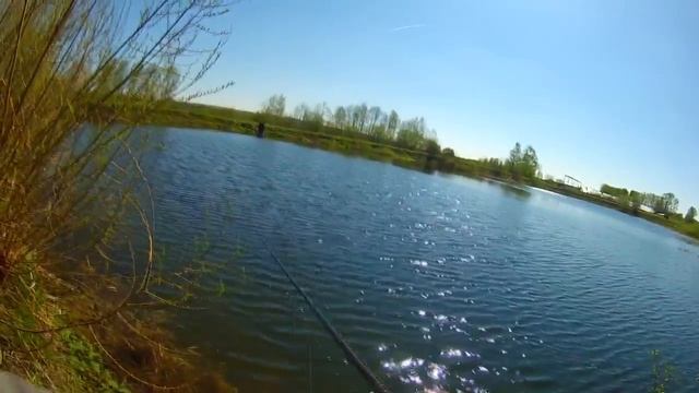 Ловля форели и спасение "зеленого китайца" смотреть онлайн