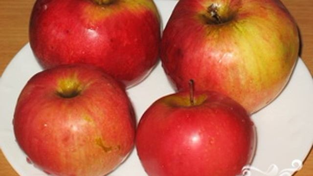 Сборник рецептов