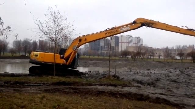 Чистка пруда в Полюстровском парке смотреть онлайн