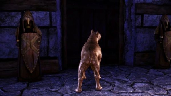 Dragon Age Origins - Часть 1- Пролог - Воин Знатный Человек