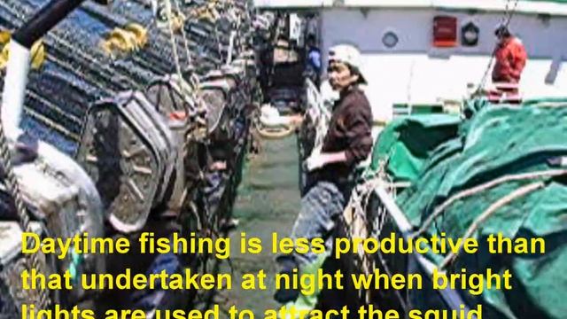 Squid Fishing (commercial distant-water jigger), South Atlantic. Pesca de calamar en el Atlantico смотреть онлайн